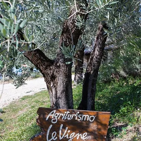 Le Vigne Vakantieboerderij *