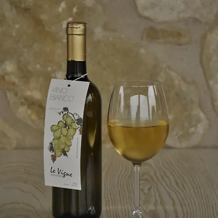 Le Vigne *