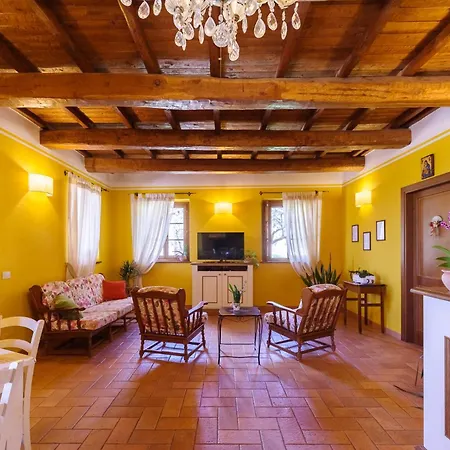 Le Vigne *